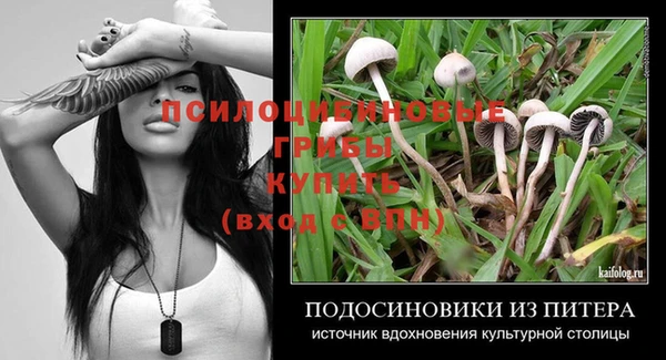 PSILOCYBIN Абинск