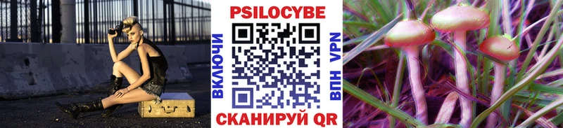 Псилоцибиновые грибы Psilocybine cubensis Фурманов