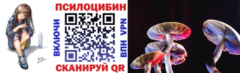 закладка Фурманов Псилоцибиновые грибы мицелий