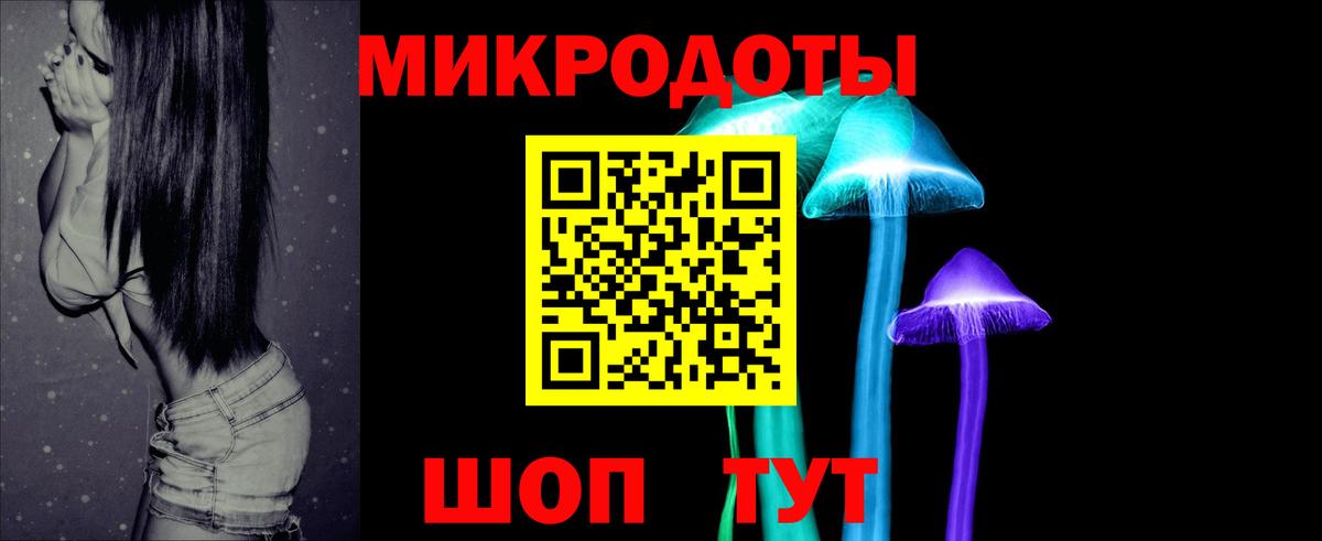 Галлюциногенные грибы Psilocybine cubensis Фурманов